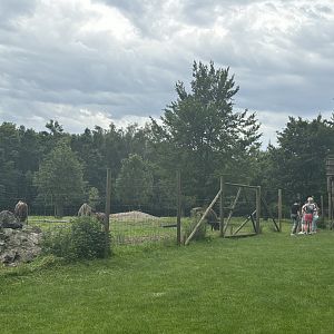 Wisent Enclosure at Wildpark Poing