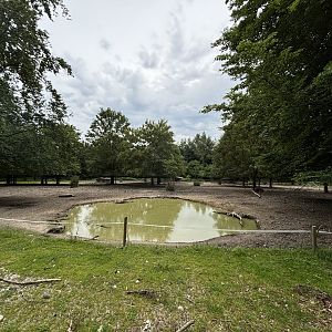Miniature Pig Enclosure at Wildpark Poing