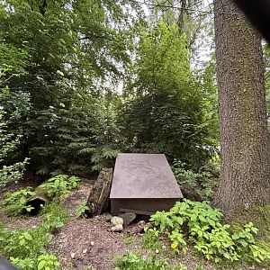 Inside the Red Fox/European Badger Enclosure at Wildpark Poing