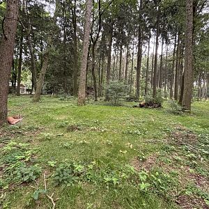 Lynx Enclosure at Wildpark Poing