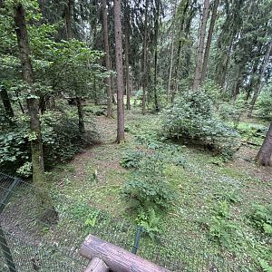 Wolf Enclosure at Wildpark Poing