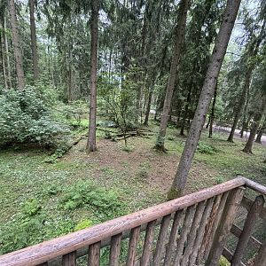 Wolf Enclosure at Wildpark Poing