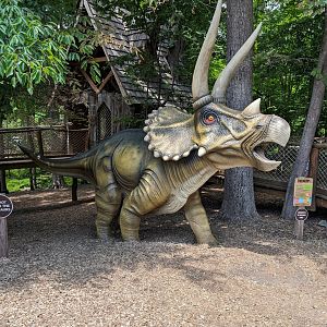 Newly painted Triceratops