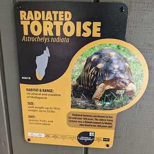 New Radiated Tortoise signage