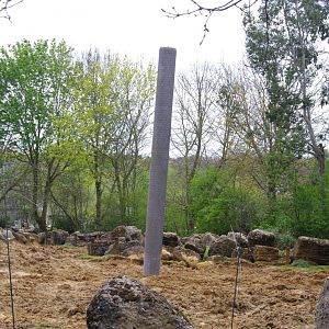 New scratching post in the bull paddock at Elephant Kingdom- 11/4/2024