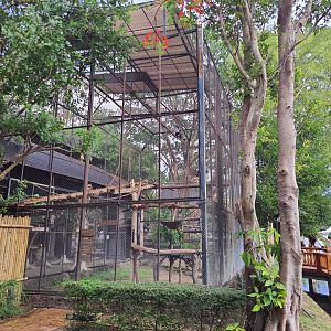 Jaguar Trail- Douc Langur exhibit