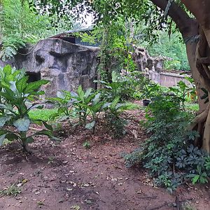 Jaguar Trail- Emu exhibit