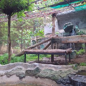 Jaguar Trail- Jaguar exhibit