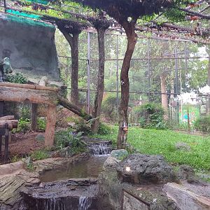 Jaguar trail- Jaguar exhibit