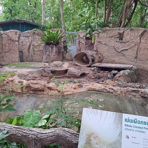 Jaguar Trail- Albino porcupine exhibit