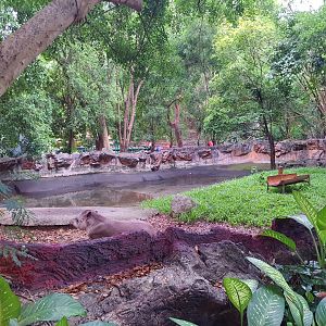 Moat surrounding the Brazilian Tapir exhibit