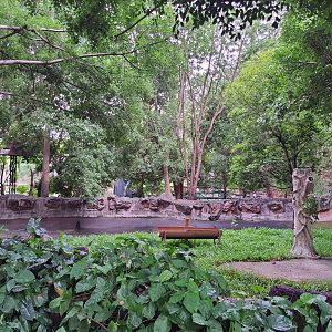 Jaguar Trail- Exhibit for Brazilian Tapir