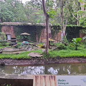 Moat surrounding the Fishing Cat exhibit