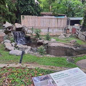 Jaguar Trail- Exhibit for Smooth Coated Otters