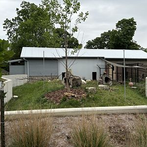 Giant Anteater Exhibit