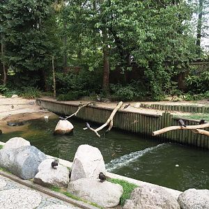 Freiflughalle - Section section, Brandungsanlage, coastal aviary with wave machine in pool, 2024-05-21