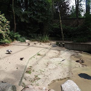 Freiflughalle - Section section, Brandungsanlage, coastal aviary with wave machine in pool, 2024-05-21