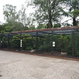 Fasanerie/Pheasantry - General view of aviaries and viewing area, 2024-05-21