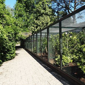 Fasanerie/Pheasantry - General view of aviaries and viewing area, 2024-05-23