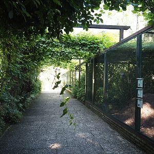 Fasanerie/Pheasantry - General view of aviaries and viewing area, 2024-05-23