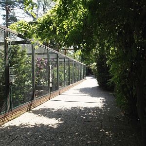 Fasanerie/Pheasantry - General view of aviaries and viewing area, 2024-05-24