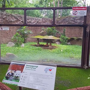 Jaguar Trail- Raccoon exhibit