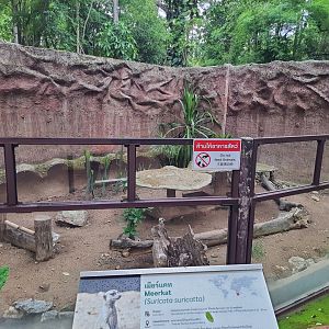 Jaguar Trail- Meerkat exhibit