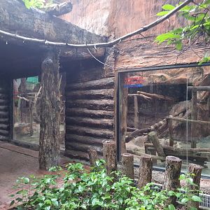 Clouded Leopard Exhibit area