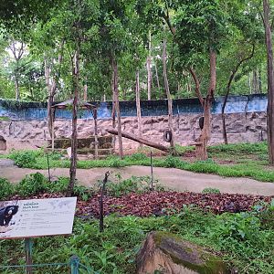 Sloth Bear exhibit with signage