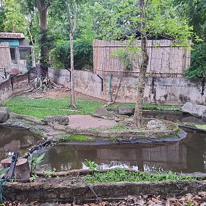 Jaguar Trail- Enclosure for Asian small-clawed otters