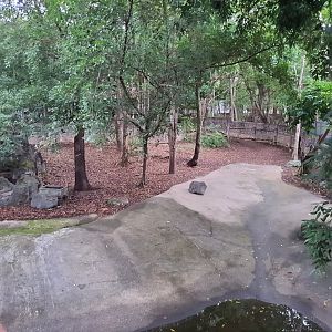 Malayan Tapir enclosure on the other side of the walkway