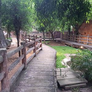 Turtle & Tortoise walkway