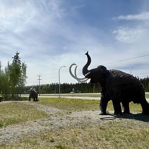 Mammoths