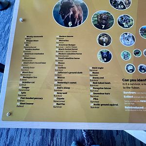 Key to the Wall of Skulls