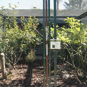Northern helmeted curassow aviary, 2024-05-23
