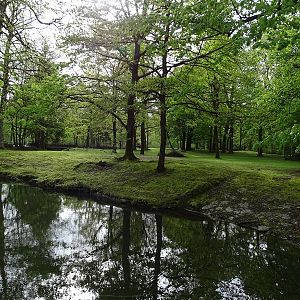 Persian fallow deer enclosure