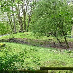 Enclosure for alpine marmot (and previously chamois)
