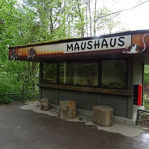 Maus Haus (Mouse House)