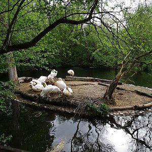 Pelican enclosure