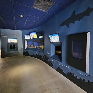 'Coral Reef Close-Up' (opening Fall '24)