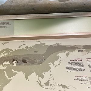 Saiga Range: Prehistoric, Historic, and today