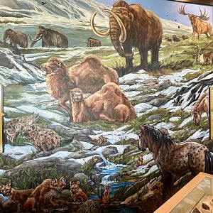 Ice Age Panel