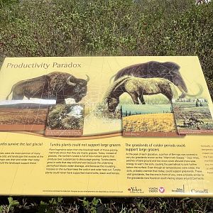 Interesting Info Sign