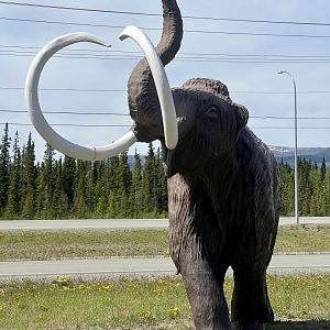 Mammoth