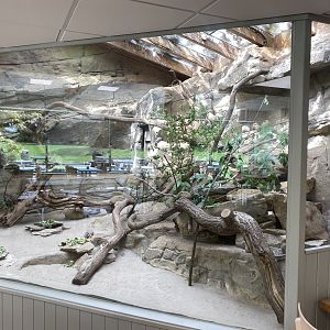 Gundi exhibit inside restaurant 150524