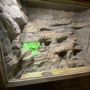 Little Africa - Gundi exhibit 150524