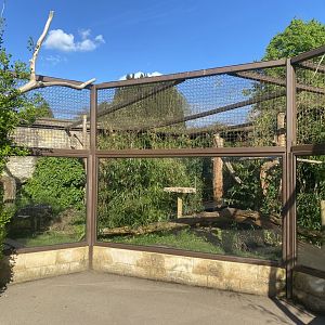 Walled Garden - Crowned sifaka exhibit 150524