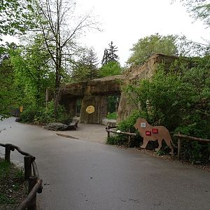 Lion enclosure