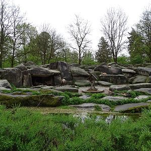 Ibex enclosure