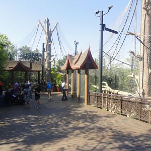 Hubbard Orangutan Forest Upper Boardwalks